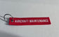 Boeing 787 keychain -  double sided - new aircraft key ring - attach keys