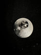 Chevrolet Corvette Round Lapel Pin -Backpack - Hat - Shirt Stingray Split Window