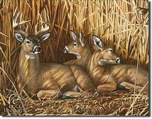 DUCKS UNLIMITED TIN SIGN DEER BUCK FEVER SCRAPE HUNTER BOW RIFLE LICENSE SEASON